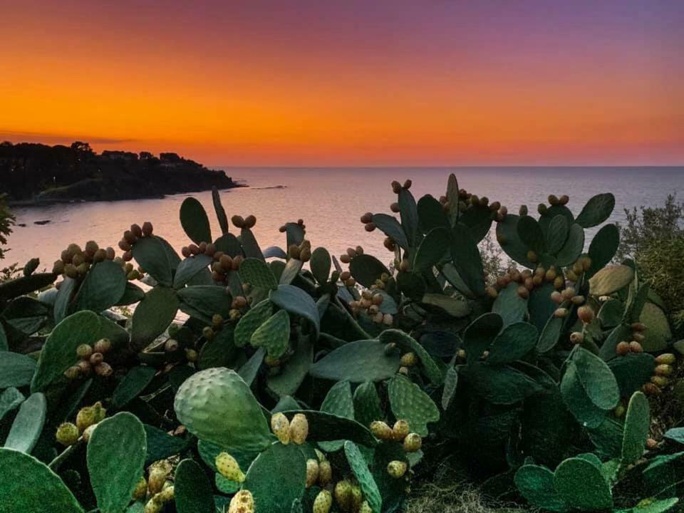 فيلا Ogliastro Sul Mare - Sleep And Dream تْشيفالو المظهر الخارجي الصورة