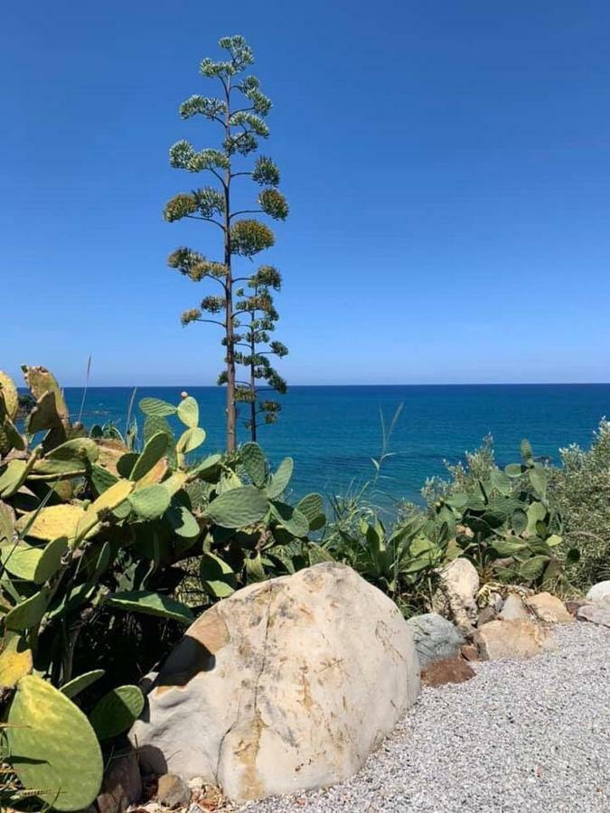 فيلا Ogliastro Sul Mare - Sleep And Dream تْشيفالو المظهر الخارجي الصورة