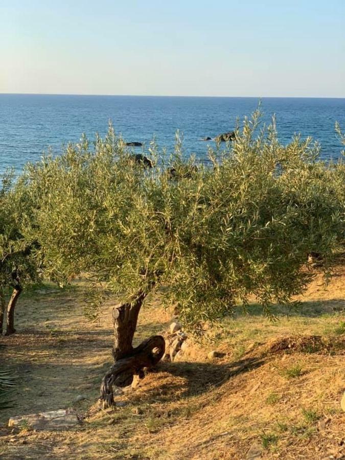فيلا Ogliastro Sul Mare - Sleep And Dream تْشيفالو المظهر الخارجي الصورة